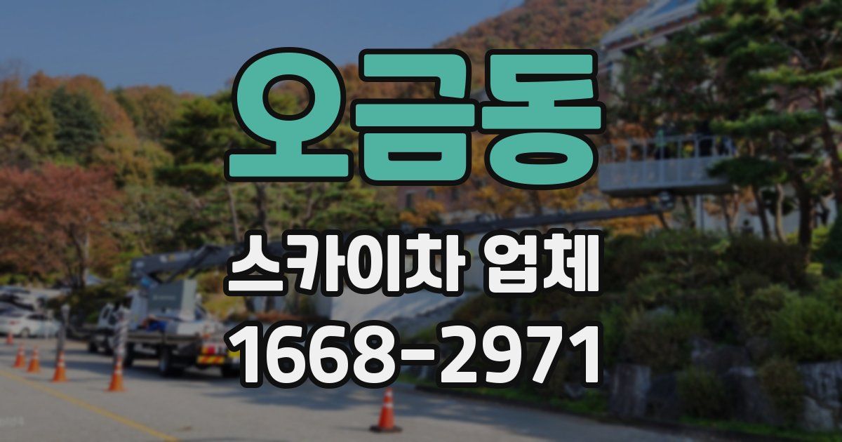 오금동 스카이차 업체