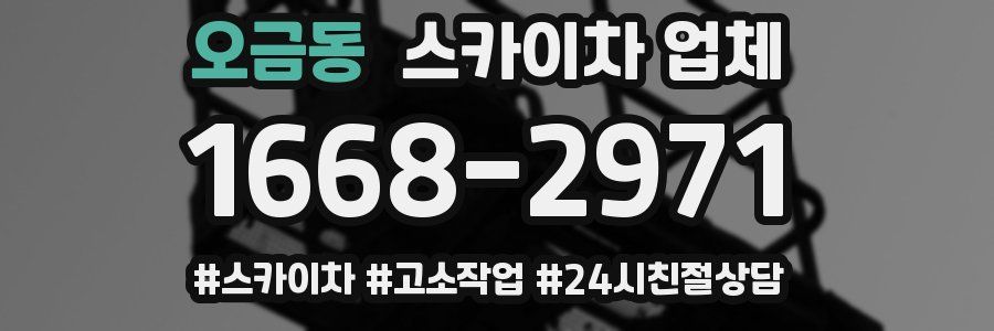 오금동 스카이차 업체