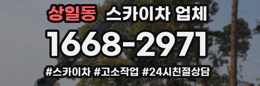 상일동 스카이차 업체
