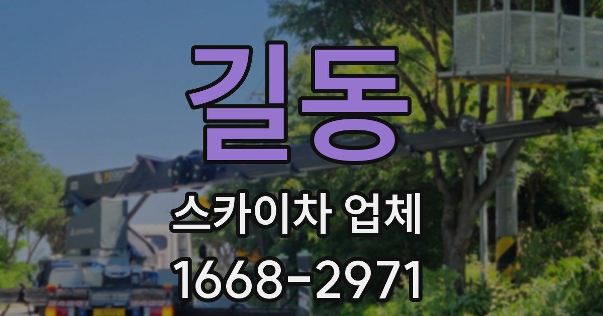 길동 스카이차 업체