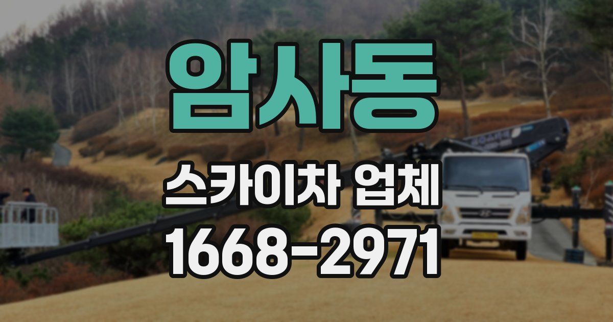 암사동 스카이차 업체