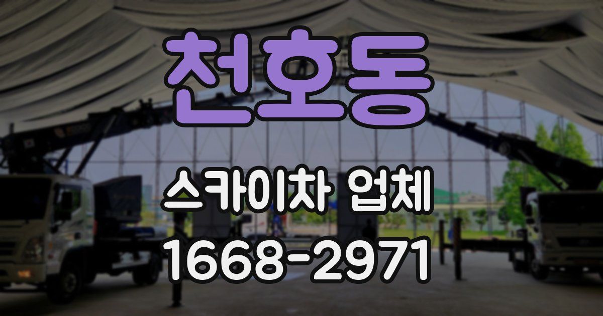 천호동 스카이차 업체