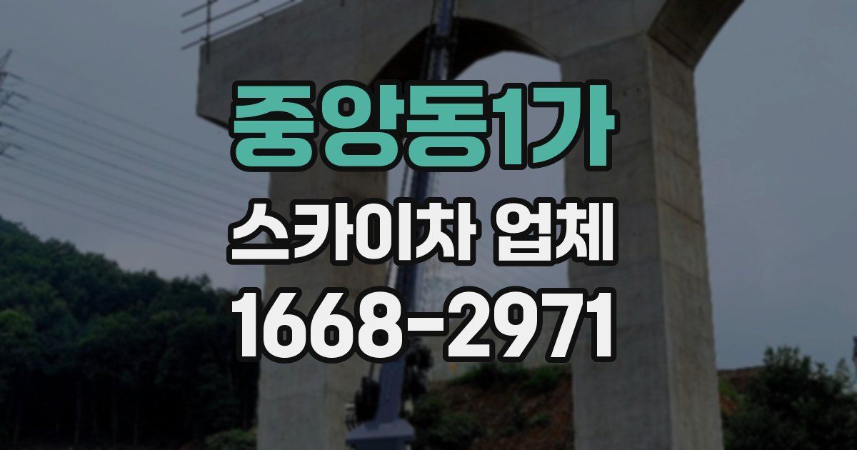 중앙동1가 스카이차 업체