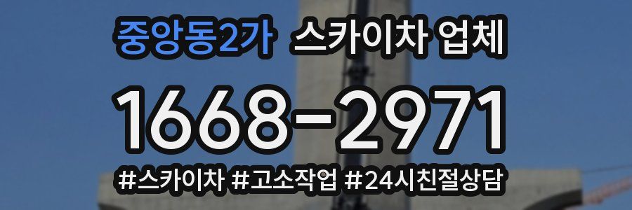 중앙동2가 스카이차 업체