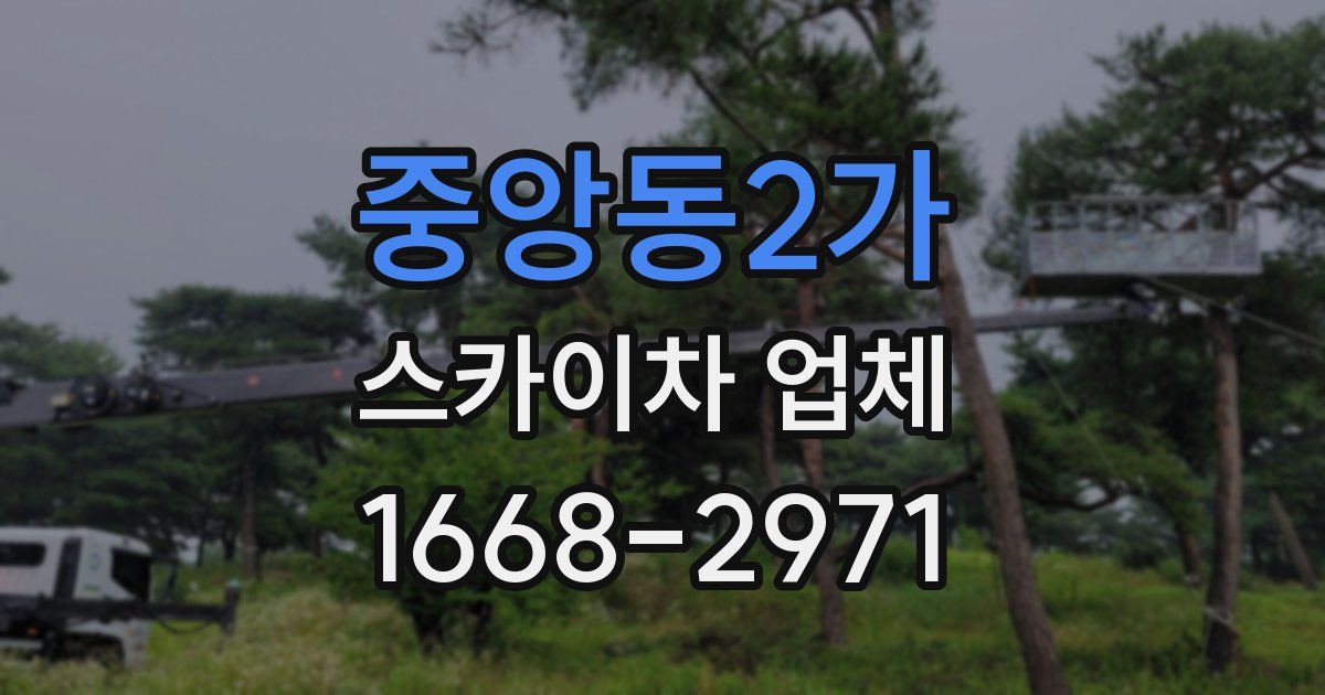 중앙동2가 스카이차 업체