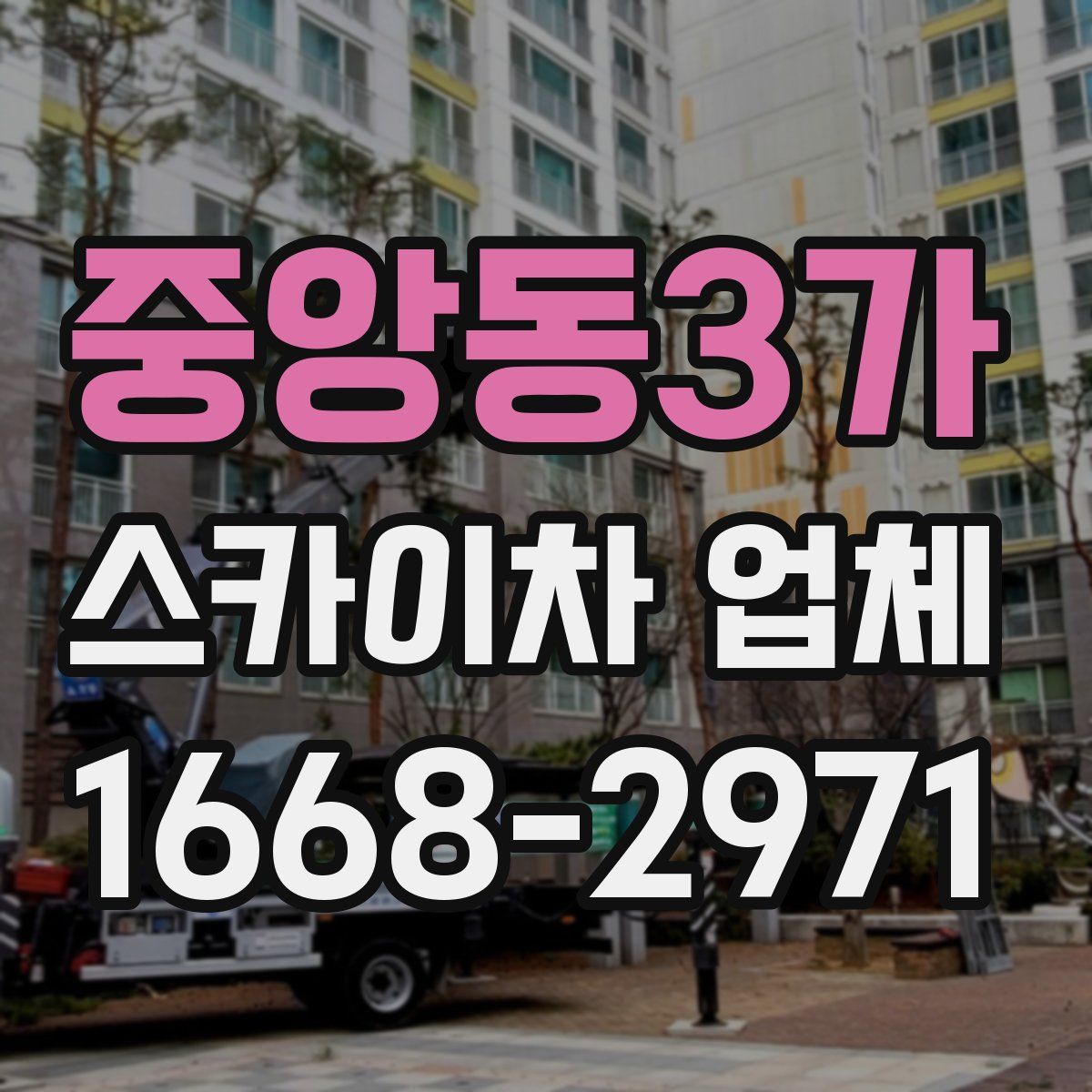 중앙동3가 스카이차 업체