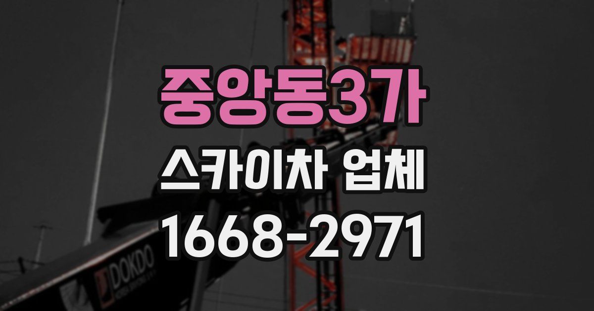 중앙동3가 스카이차 업체