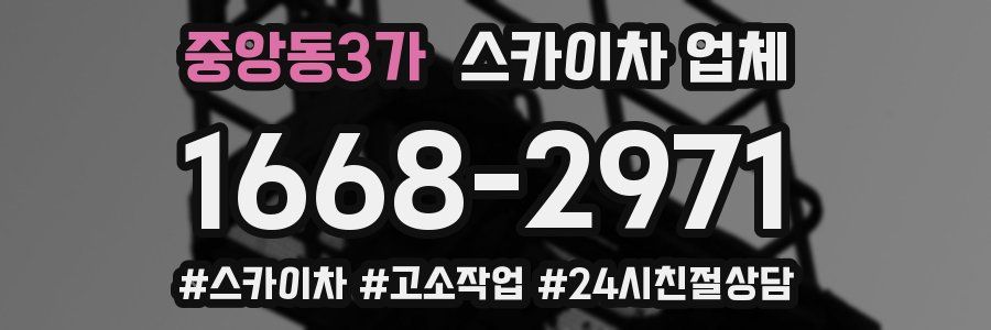 중앙동3가 스카이차 업체