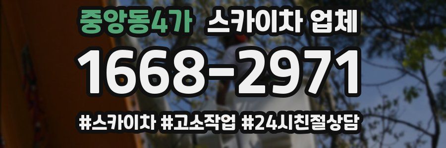 중앙동4가 스카이차 업체