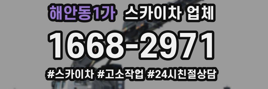 해안동1가 스카이차 업체