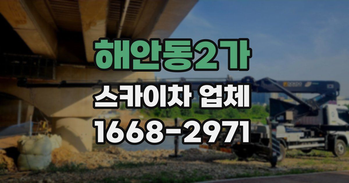 해안동2가 스카이차 업체
