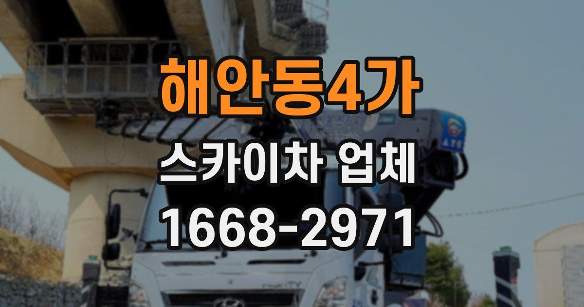 해안동4가 스카이차 업체