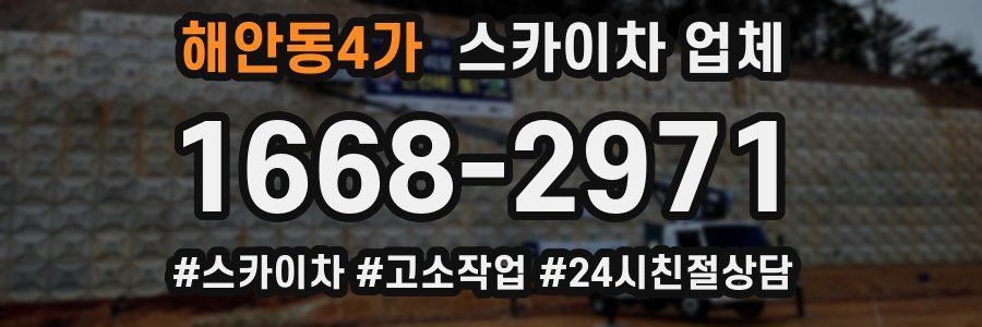해안동4가 스카이차 업체