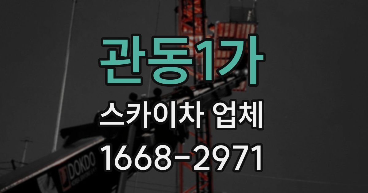 관동1가 스카이차 업체