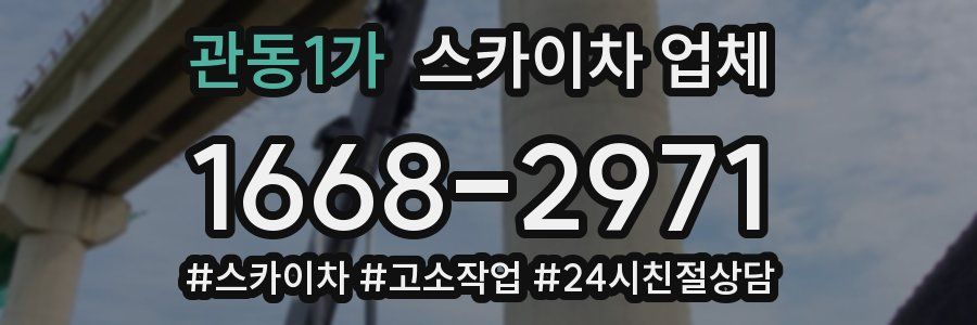 관동1가 스카이차 업체