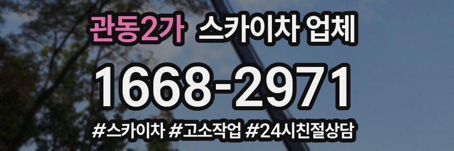 관동2가 스카이차 업체