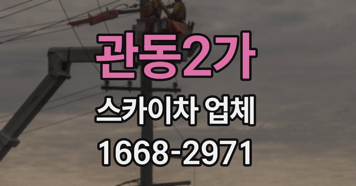 관동2가 스카이차 업체