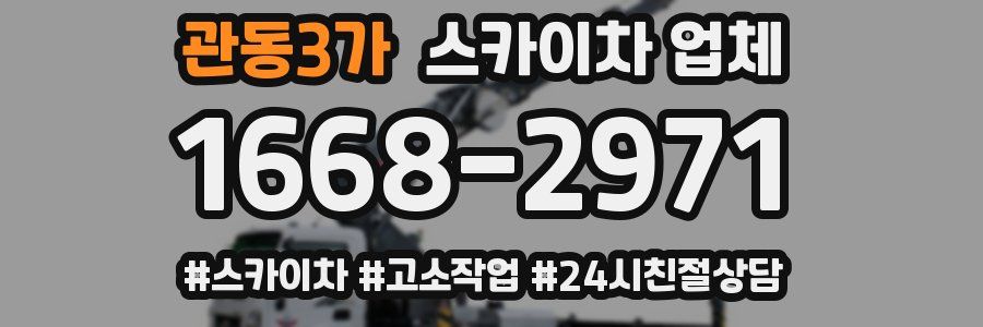 관동3가 스카이차 업체