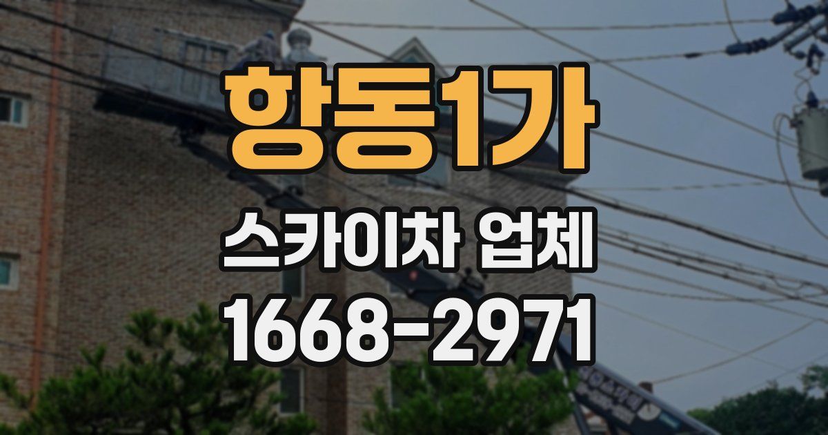 항동1가 스카이차 업체