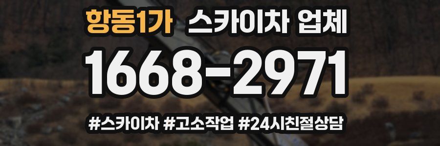 항동1가 스카이차 업체