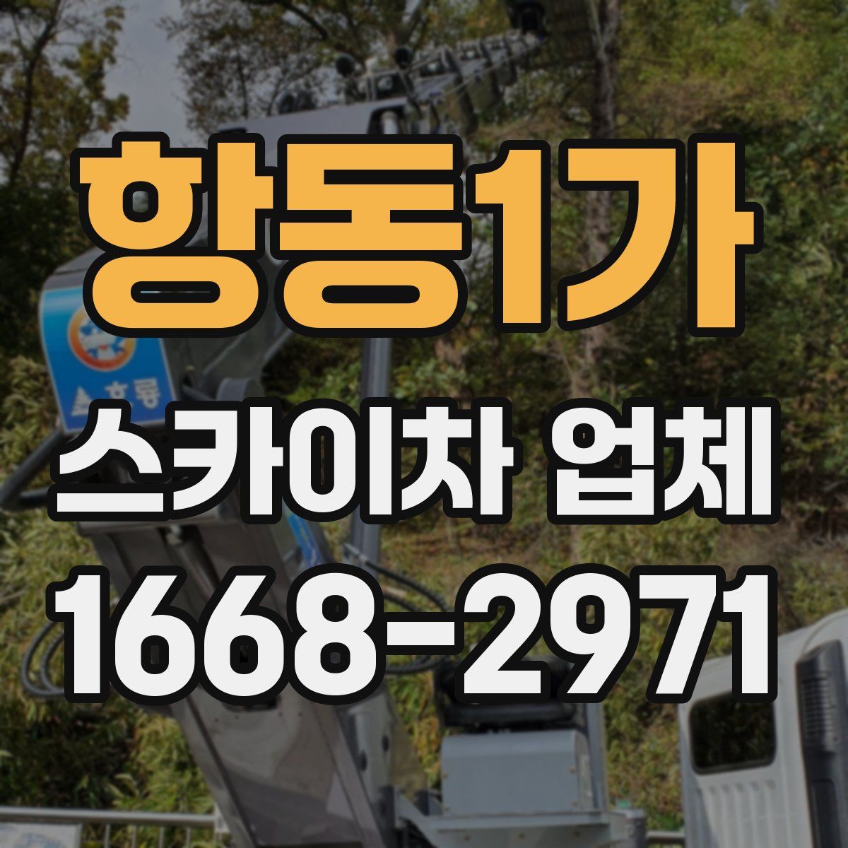 항동1가 스카이차 업체