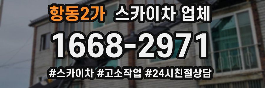 항동2가 스카이차 업체