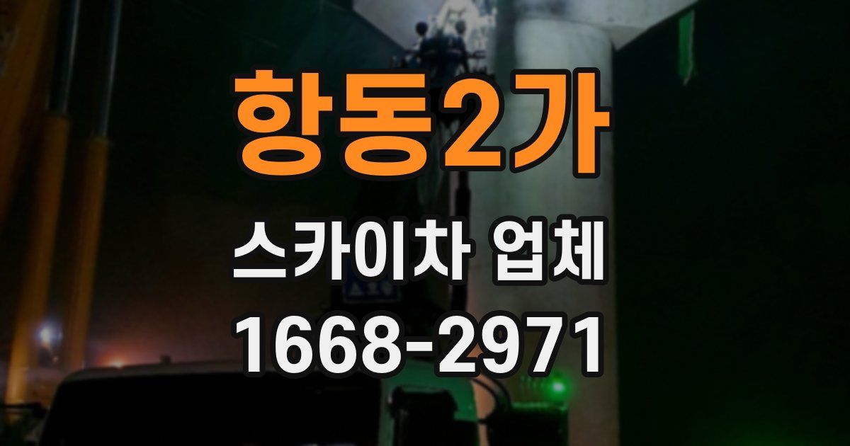 항동2가 스카이차 업체