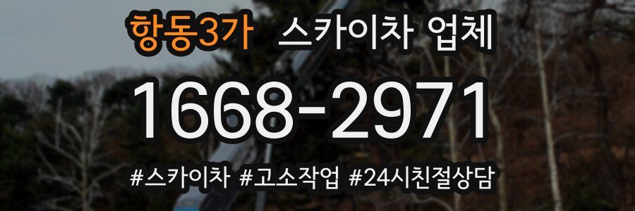 항동3가 스카이차 업체