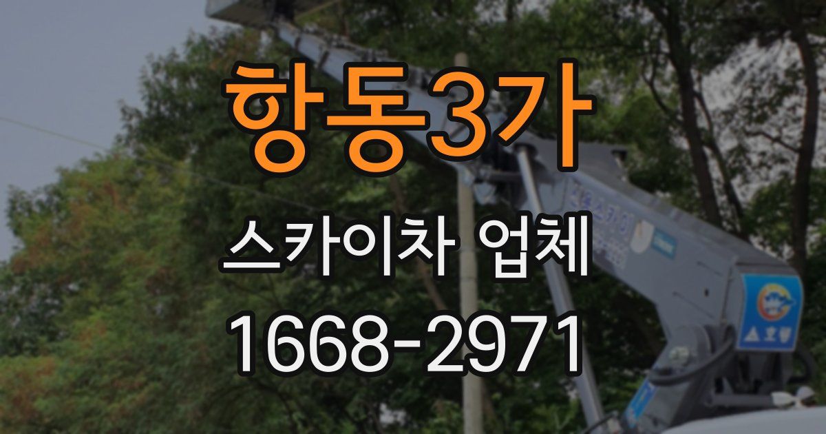 항동3가 스카이차 업체