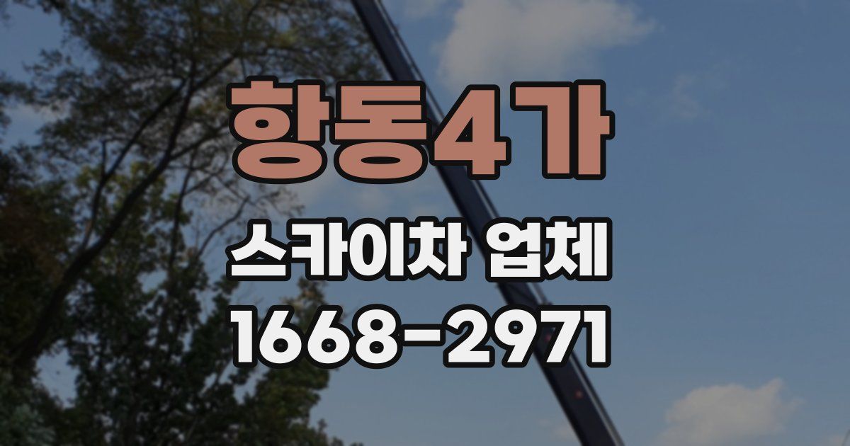 항동4가 스카이차 업체