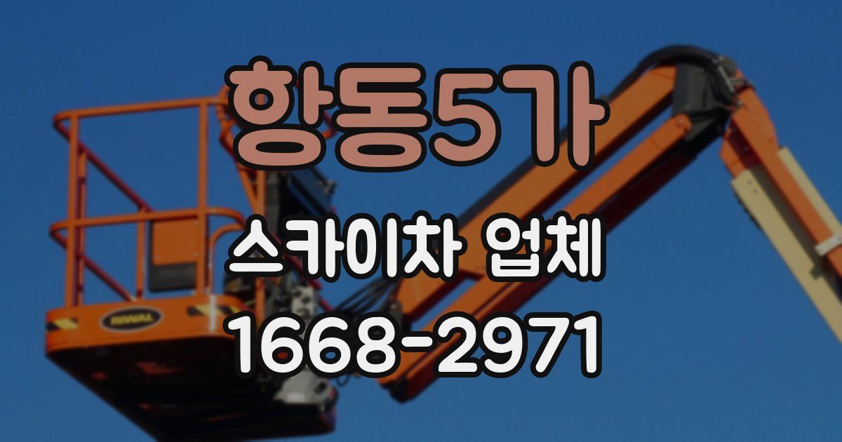 항동5가 스카이차 업체