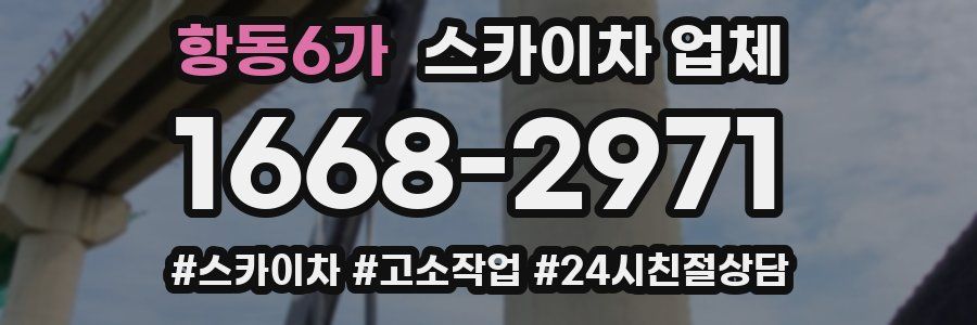 항동6가 스카이차 업체
