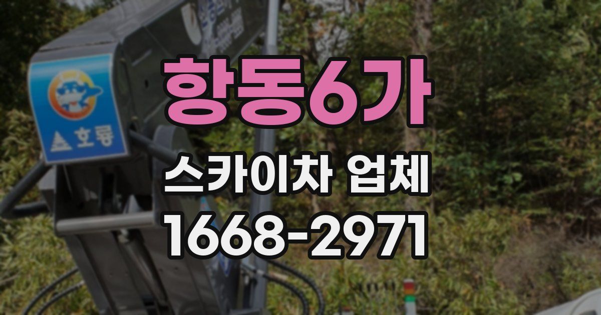 항동6가 스카이차 업체