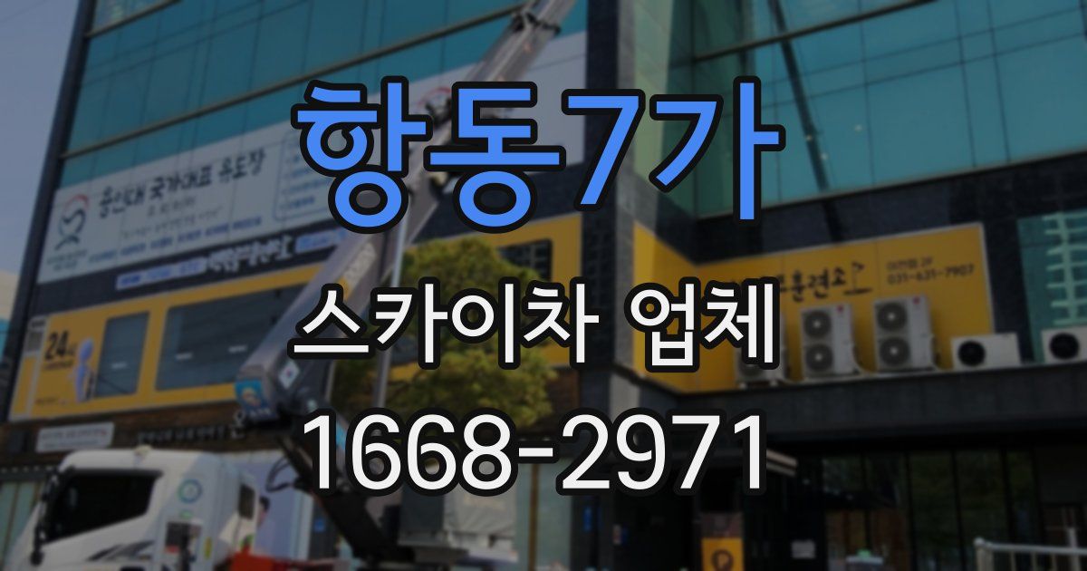 항동7가 스카이차 업체