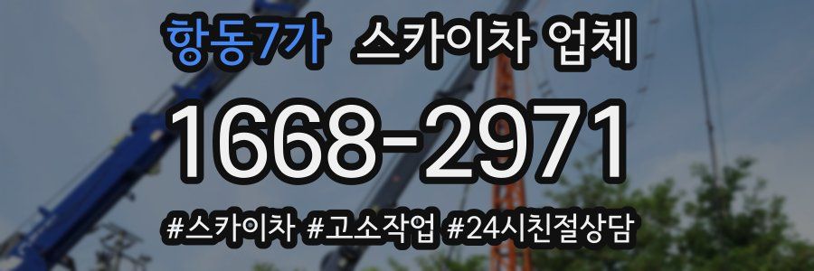 항동7가 스카이차 업체