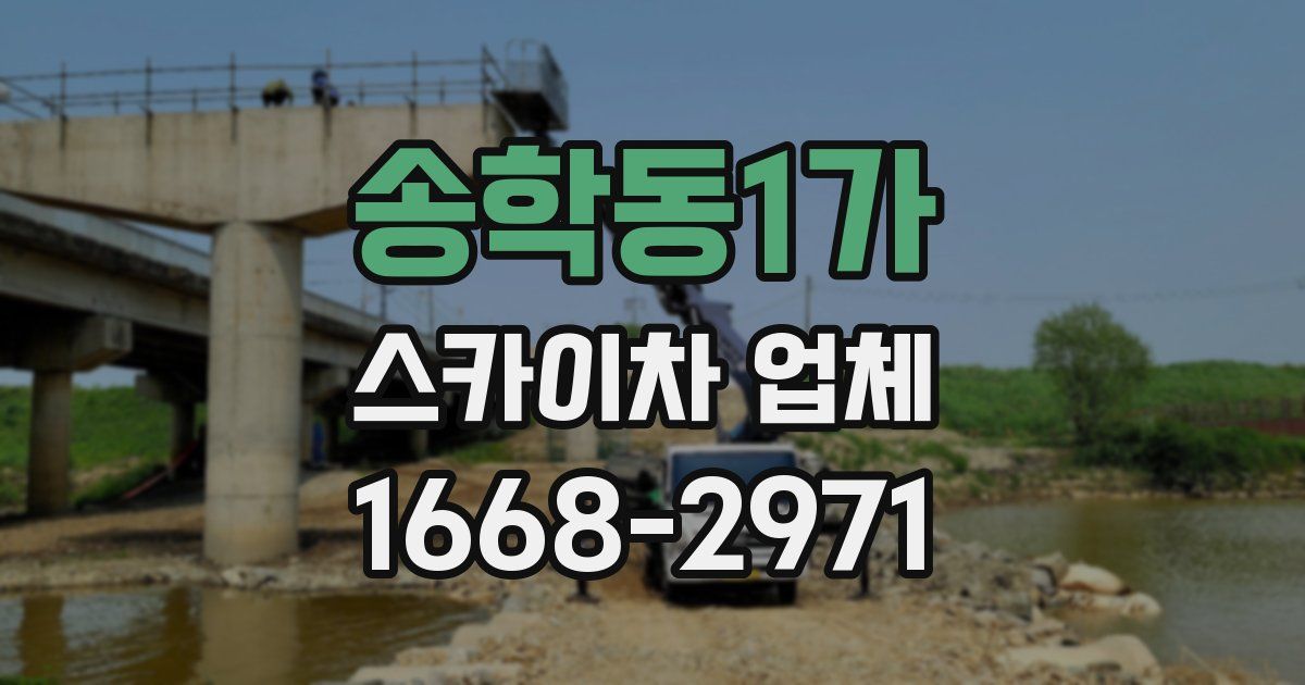 송학동1가 스카이차 업체