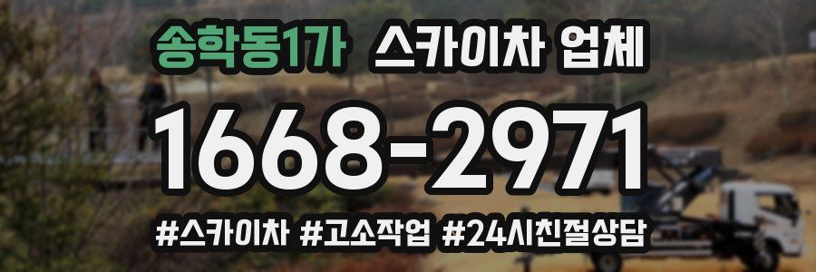 송학동1가 스카이차 업체