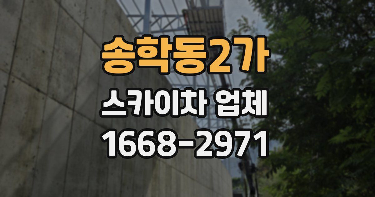 송학동2가 스카이차 업체