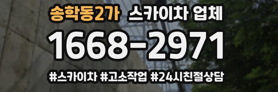 송학동2가 스카이차 업체