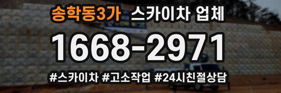 송학동3가 스카이차 업체