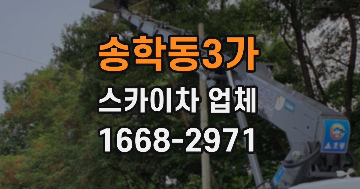 송학동3가 스카이차 업체