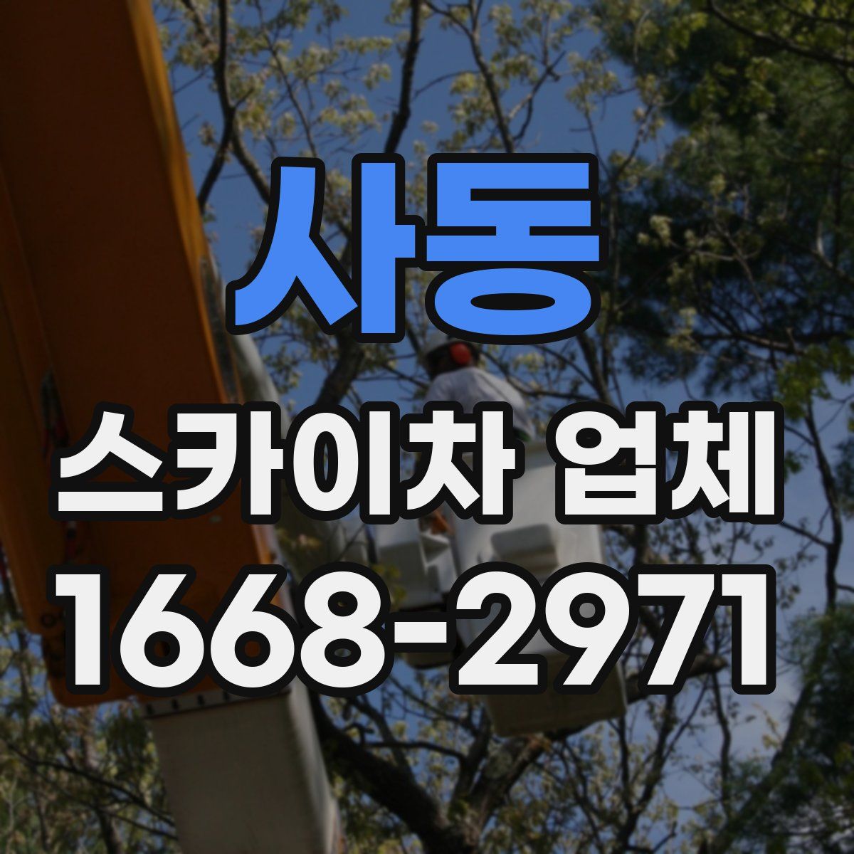 사동 스카이차 업체