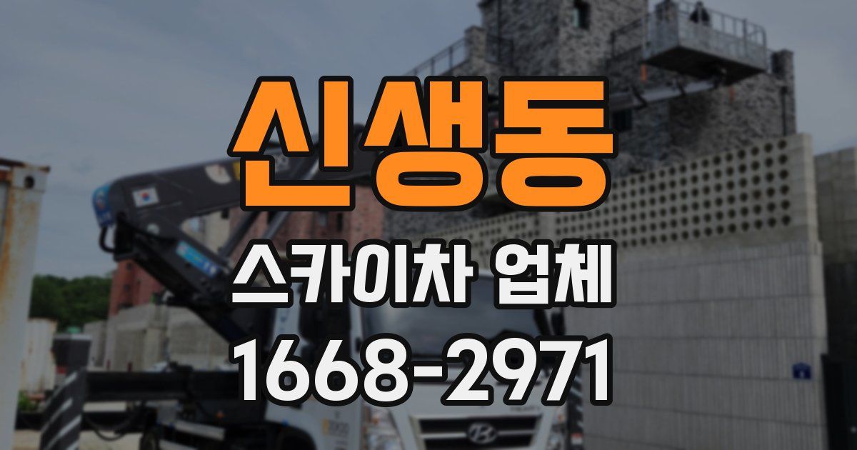 신생동 스카이차 업체
