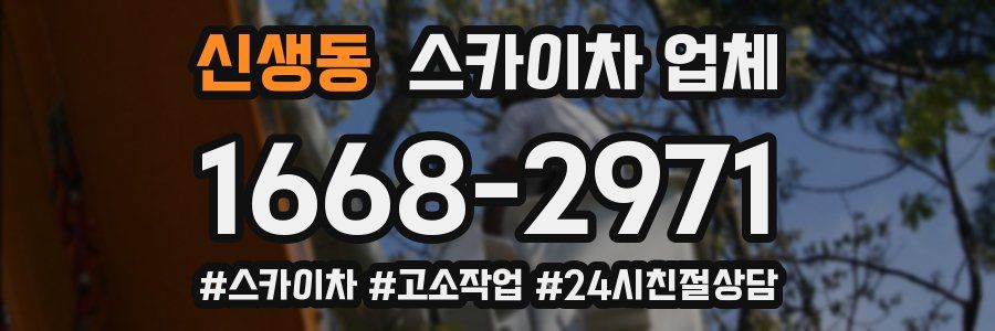 신생동 스카이차 업체