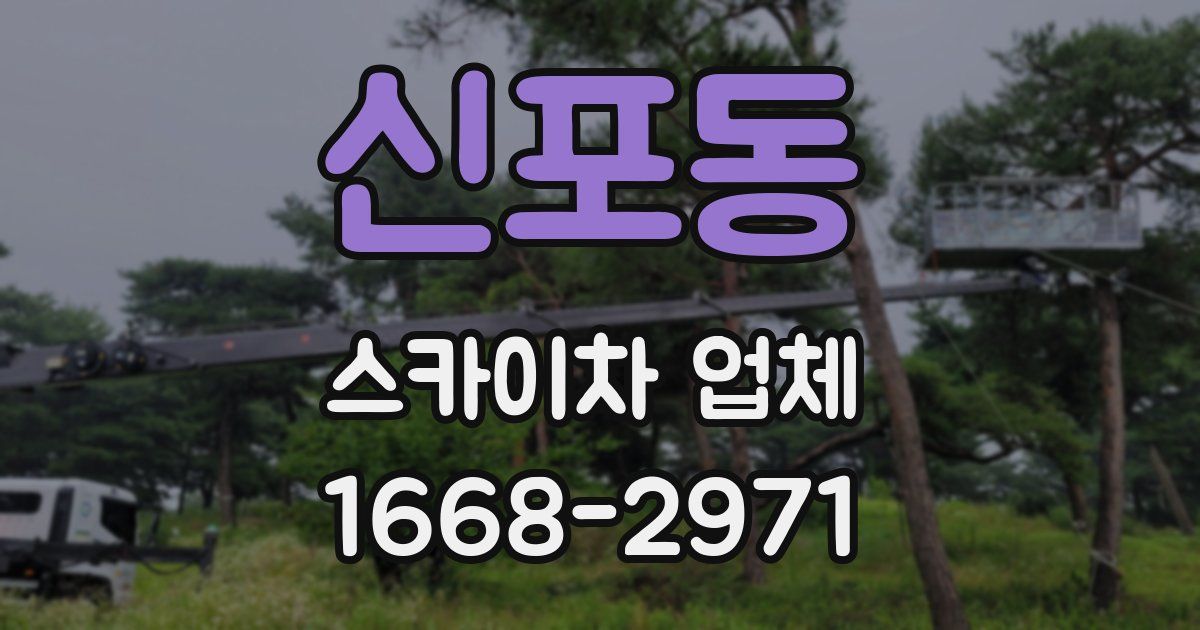 신포동 스카이차 업체