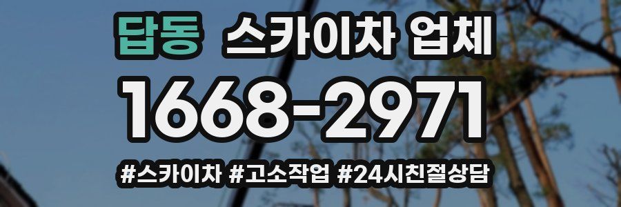 답동 스카이차 업체