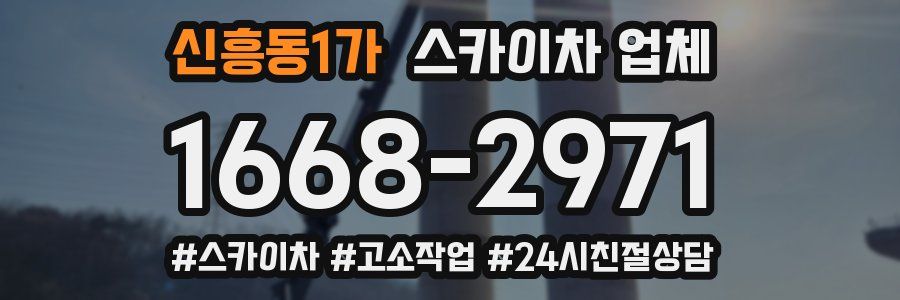 신흥동1가 스카이차 업체