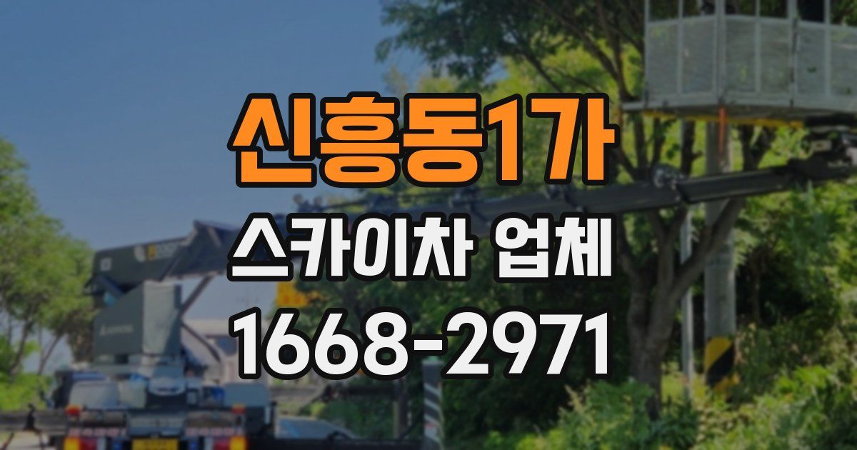 신흥동1가 스카이차 업체
