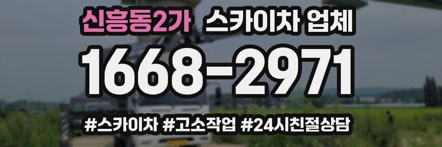 신흥동2가 스카이차 업체