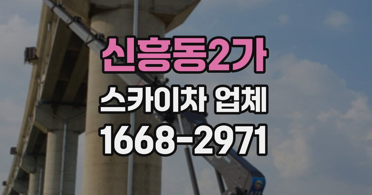신흥동2가 스카이차 업체